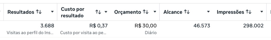 Resultado de campanha com 3.688 visitas ao perfil
